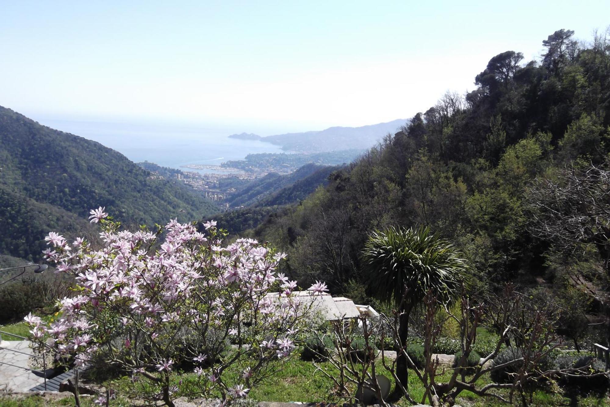 דירות ראפאלו Vista Portofino מראה חיצוני תמונה